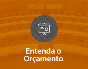 Entenda o Orçamento