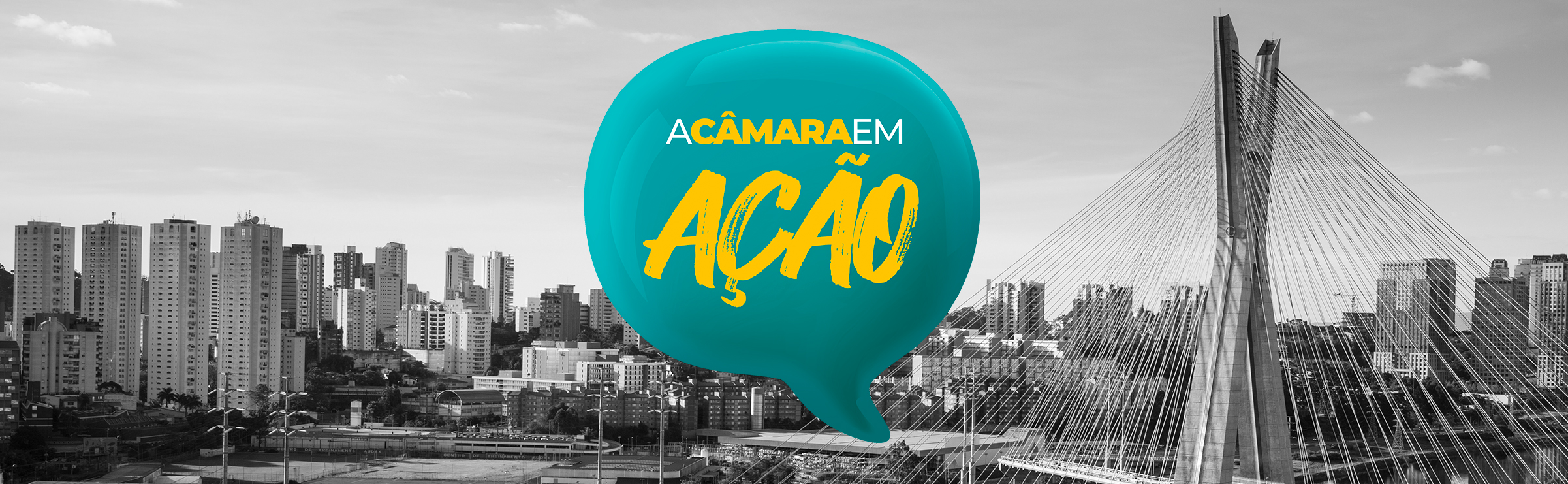 Câmara em Ação